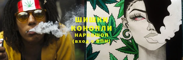 тгк Краснослободск