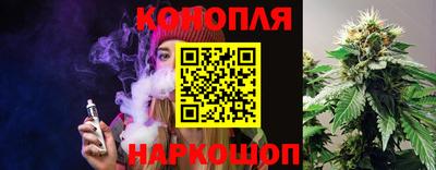 индика Аргун