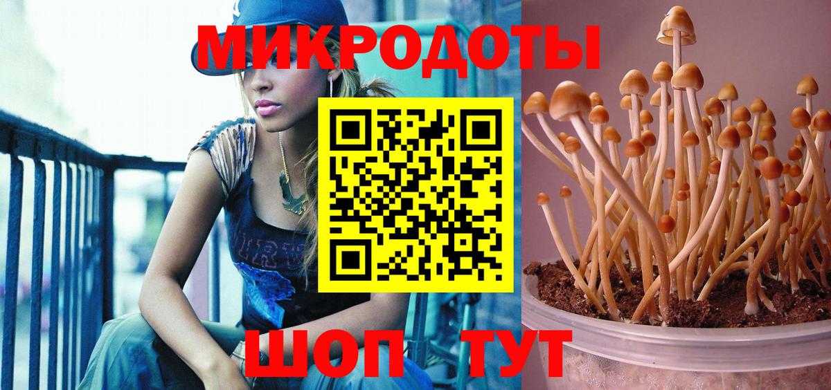 Галлюциногенные грибы ЛСД  Калуга  Галлюциногенные грибы Psilocybe 