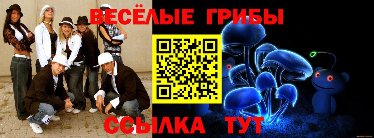 Калуга  Псилоцибиновые грибы прущие грибы  Вход с VPN 