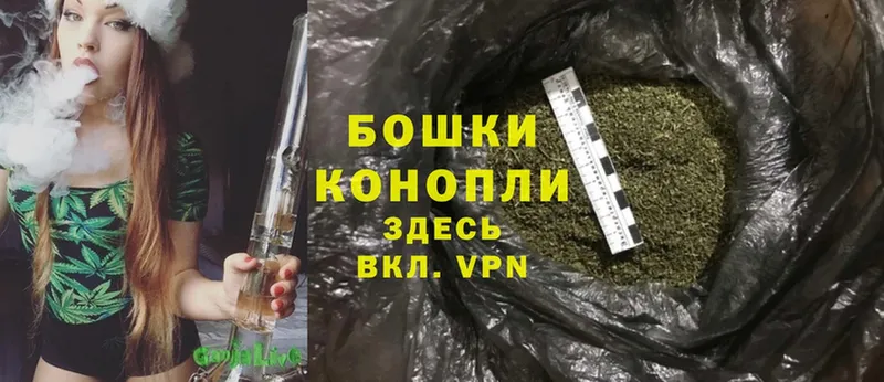 сколько стоит  Калуга  Бошки Шишки THC 21% 